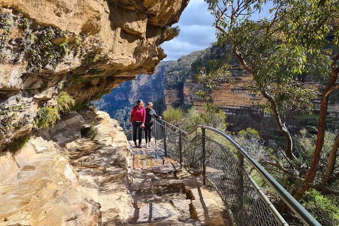Ultimate Blue Mountains Private Tour with Scenic World and Wildlife Park - A private day that ties the Blue Mountains to Sydney Harbour