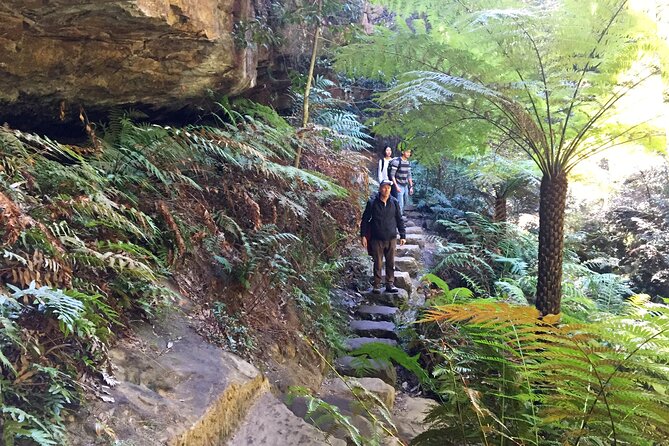 Ultimate Blue Mountains Private Tour with Scenic World and Wildlife Park - What to expect on the ground: walking, weather, and timing