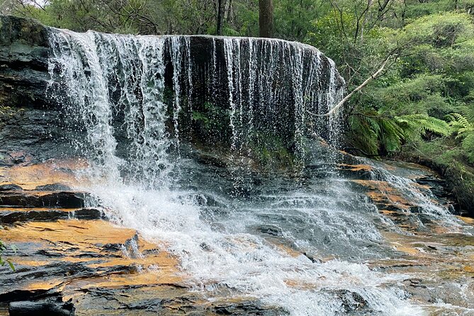 Ultimate Blue Mountains Private Tour with Scenic World and Wildlife Park - Featherdale Wildlife Park: kangaroos, koalas, and the real Australia thing