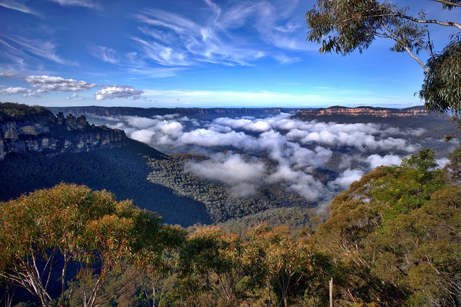 Unforgettable Blue Mountains Day Tour - Key highlights to look for