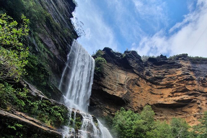 Unforgettable Blue Mountains Day Tour - Lunch in Leura, and why choosing your own café is a plus
