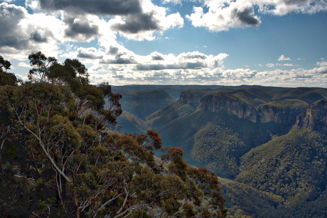 Unforgettable Blue Mountains Day Tour - Price and value: what you are paying for at $413