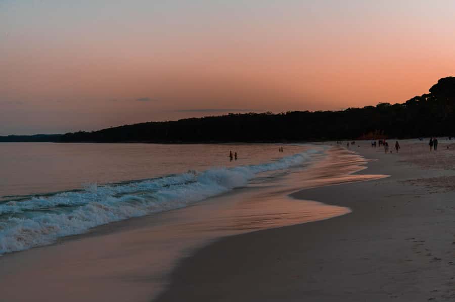 Vincentia: Jervis Bay Beach Stargazing with an Expert - Laser-guided constellation storytelling you can actually use