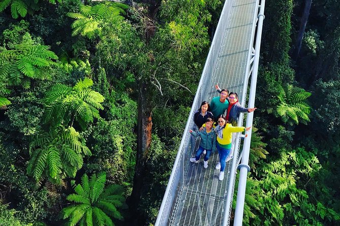 Waves Waterfalls and Wineries Full-Day Southern Highlands Private Tour - The small details that matter: guide, pace, included extras