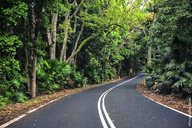 Waves Waterfalls and Wineries Full-Day Southern Highlands Private Tour - The Illawarra Escarpment climb, rainforest roads, and optional animal time