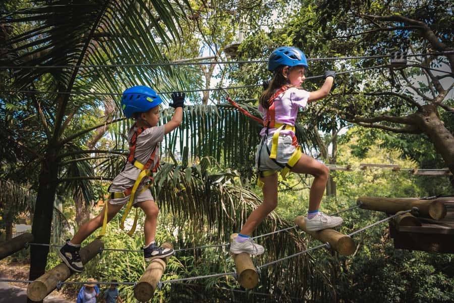 Western Sydney: Junior Tree Ropes Courses - Inside the four Junior Tree Ropes Courses: bridges, logs, and mini ziplines