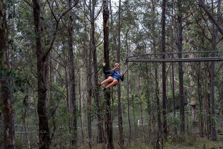 Western Sydney: Zipcoaster Experience - Western Sydney Zipcoaster: What makes this 330m ride different