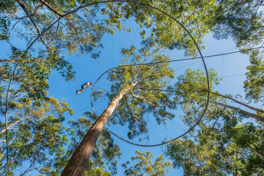 Western Sydney: Zipcoaster Experience - The 1-hour session: How 3 to 4 rides usually feel