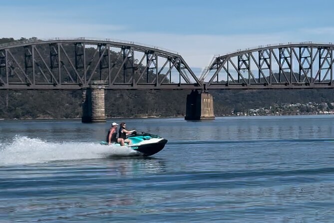 Whale Watching Adventure Cruise - Boat Setup, Comfort, and the No-Bathroom Detail