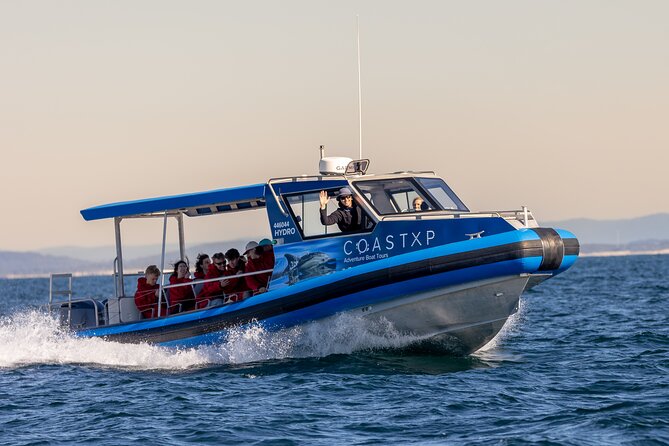 Whale Watching Discovery Tour from Lake Macquarie - Coming Back Past Caves Beach: The Coast Is Part of the Payoff