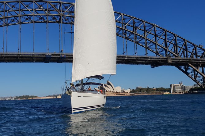 Whale Watching Sailing Experience in Sydney - What you can realistically spot in the Tasman Sea