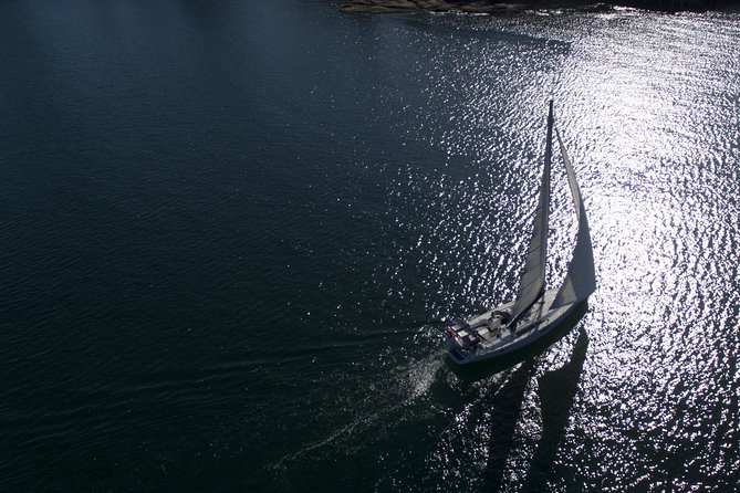 Whale Watching Sailing Experience in Sydney - Price and value: why $71.01 can make sense