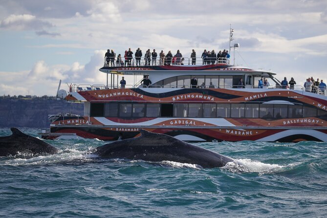 Whale Watching Sydney 2-Hour Express Cruise - Comfort details that actually matter on a 2-hour ride