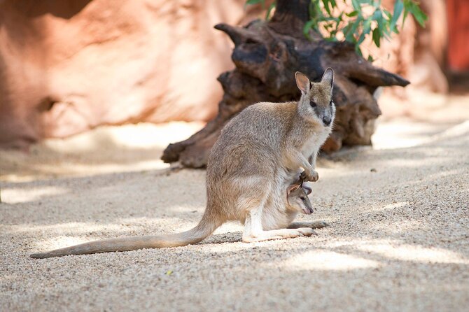 WILD LIFE Sydney Entrance Ticket - Your walk through nine habitats: what the flow feels like