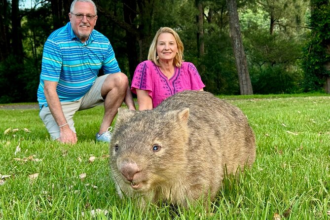 WILD Wombat and Kangaroo Day Tour, All Inclusive - Key things that make this tour work