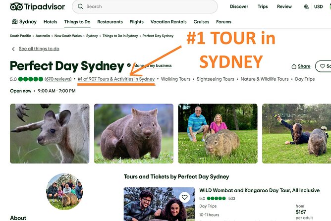 WILD Wombat and Kangaroo Day Tour, All Inclusive - Setting expectations: a long, nature-heavy day from Sydney