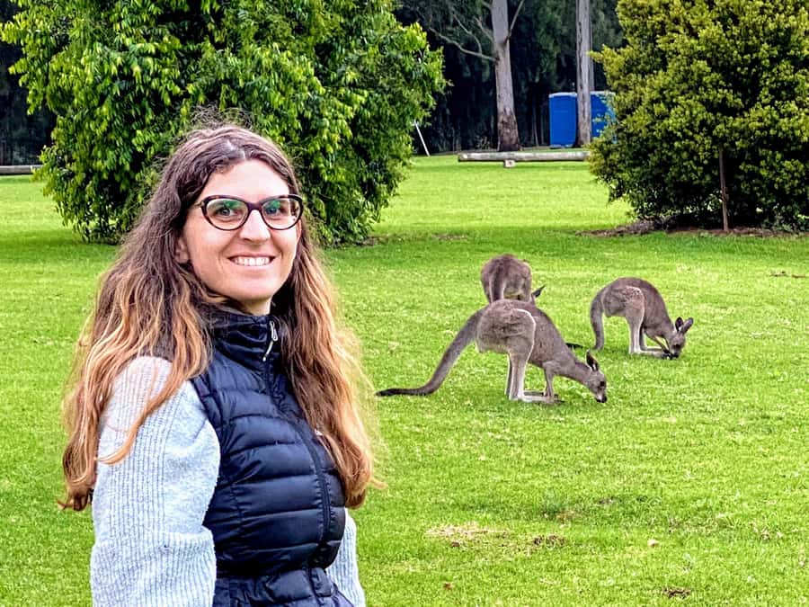 WILD Wombats and Kangaroo Experience, All Inclusive, Sydney - Key things to know before you go