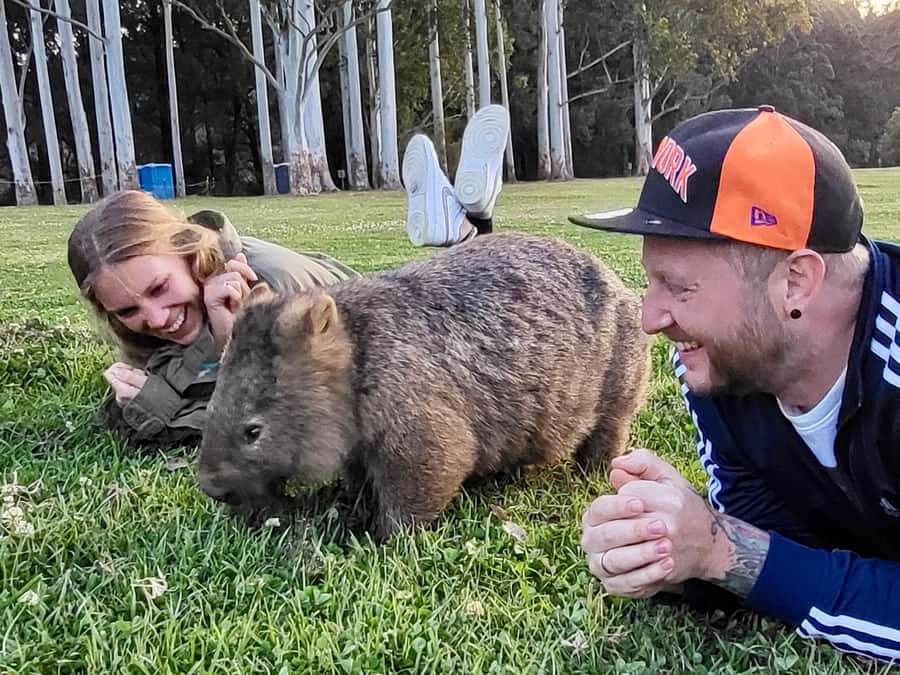WILD Wombats and Kangaroo Experience, All Inclusive, Sydney - A Sydney day that swaps sidewalks for eucalyptus forests