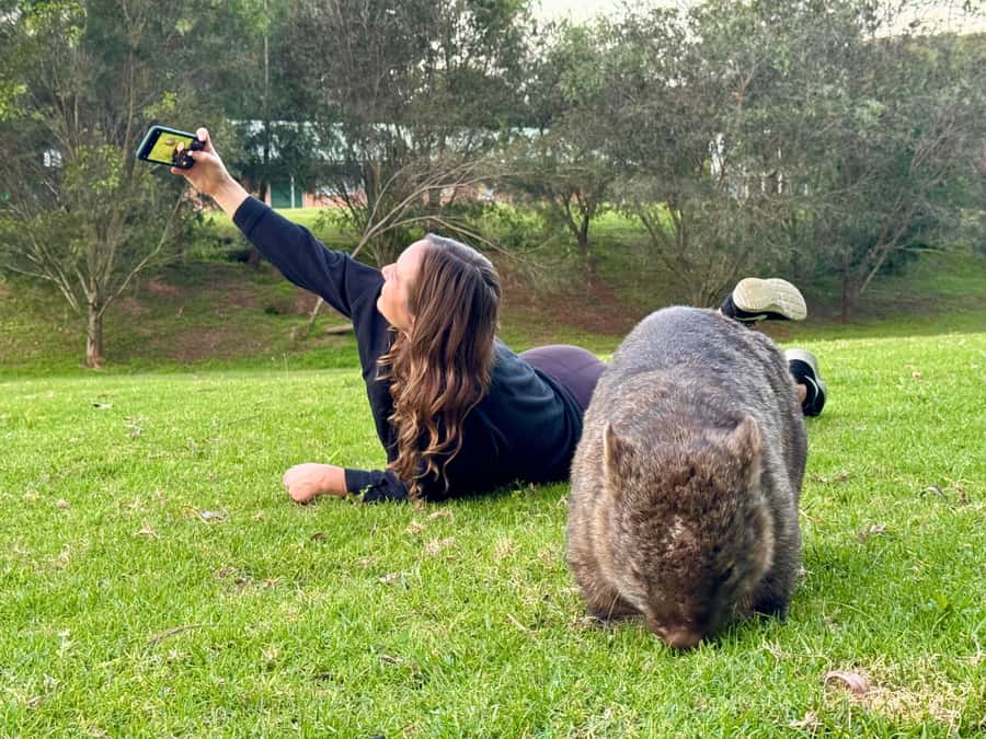 WILD Wombats and Kangaroo Experience, All Inclusive, Sydney - Getting picked up and why timing matters