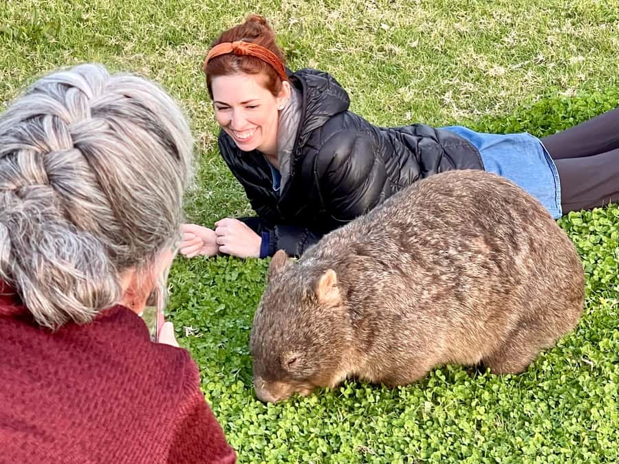 WILD Wombats and Kangaroo Experience, All Inclusive, Sydney - Waterfalls and viewpoints: why they matter beyond photos