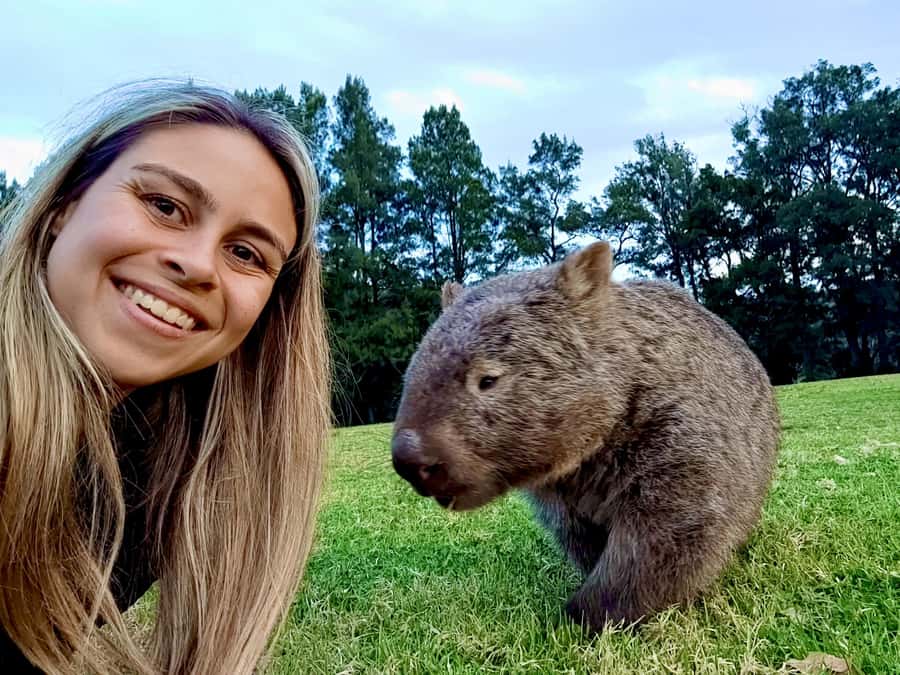 WILD Wombats and Kangaroo Experience, All Inclusive, Sydney - Food, snacks, and comfort on a long wildlife day
