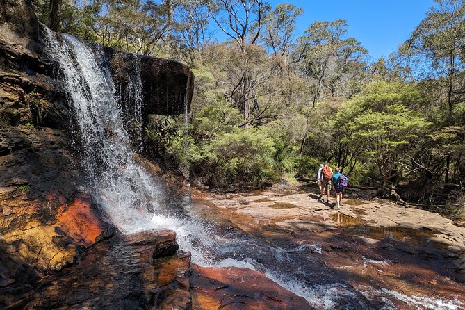 Wilderness, Waterfalls, Three Sisters BLUE MOUNTAINS PRIVATE TOUR - Sydney Zoo Optional Add-On: The Animal Time You’ll Remember