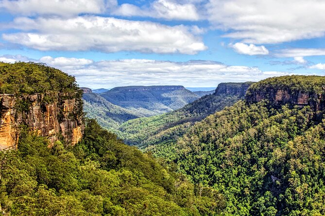 Wildlife, Waterfalls and Wine Day Tour from Sydney - How the 11-hour day actually feels: pacing, walking, and comfort