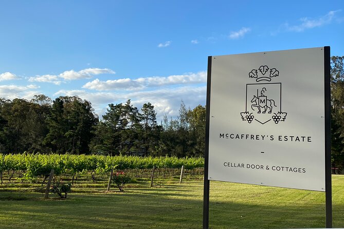 Wine & Cheese Tasting Experience in Hunter Valley - The cheese pairing experience, what to expect and how to get the most from it