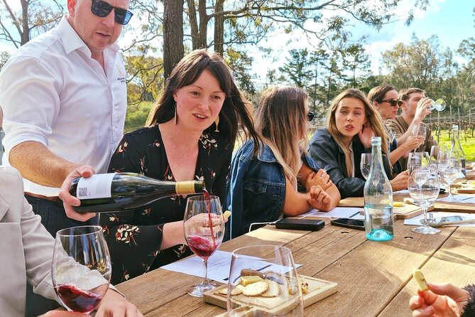 Wine & Cheese Tasting Experience in Hunter Valley - The one-hour flow, from swirl to cheese pairings