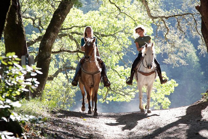 Wine Tours Sydney - Southern Highlands Day Escape, Full Day Wine Tasting Tour - Wine tastings, snacks, and keeping the day enjoyable