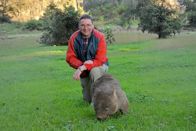 Wombat and Kangaroo Wildlife Tour from Sydney - Carrington Falls: a short walk to a 90-meter drop